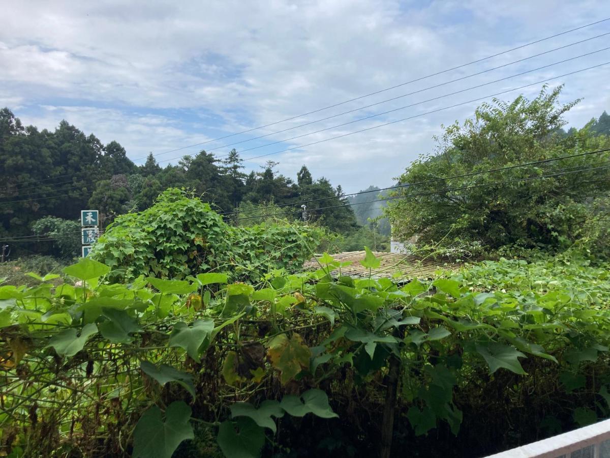 老老街 誠君民宿 Fenchihu Bagian luar foto